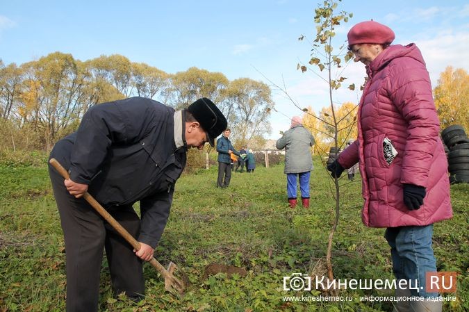 В День рождения маршала Василевского в Кинешемском районе высадили 1000 кедров фото 20