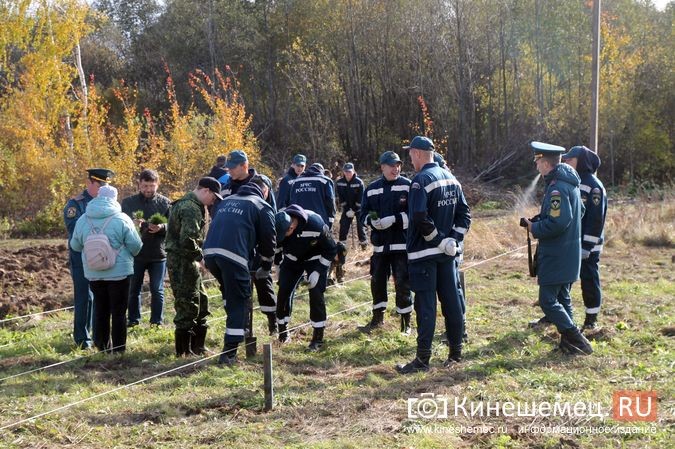 В День рождения маршала Василевского в Кинешемском районе высадили 1000 кедров фото 30