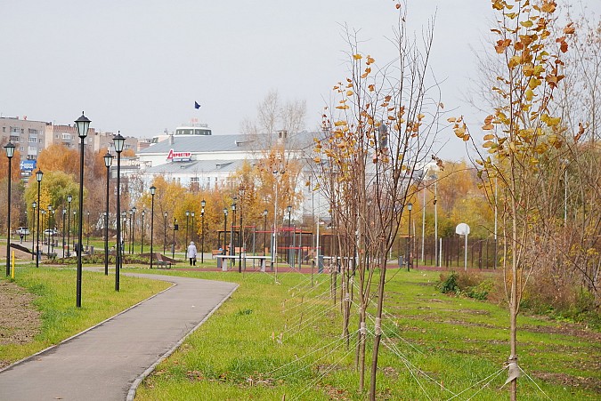 В 2022 году в Иваново начнется строительство Дворца водных видов спорта фото 5