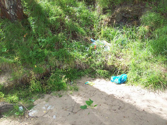 Пляж на берегу Волги безвозмездно убрали от мусора в Кинешме фото 3