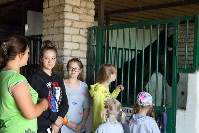 Для детей из Кинешмы организовали экскурсию в вичугскую конюшню фото 4
