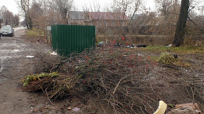 Коммунальщики Кинешмы вывозят с улиц тонны мусора, но их возможности небезграничны фото 2