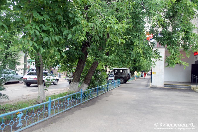 Деревья на улице Советской в Кинешме решили вырубить фото 8