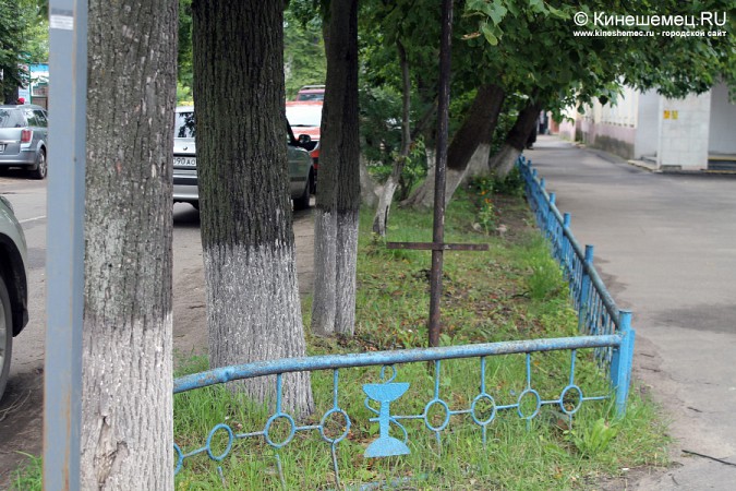 Деревья на улице Советской в Кинешме решили вырубить фото 3