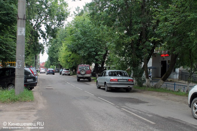 Деревья на улице Советской в Кинешме решили вырубить фото 2