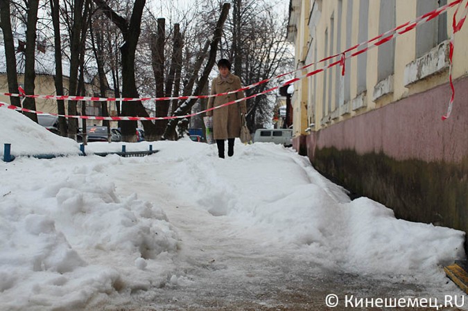 Деревья на улице Советской в Кинешме решили вырубить фото 9
