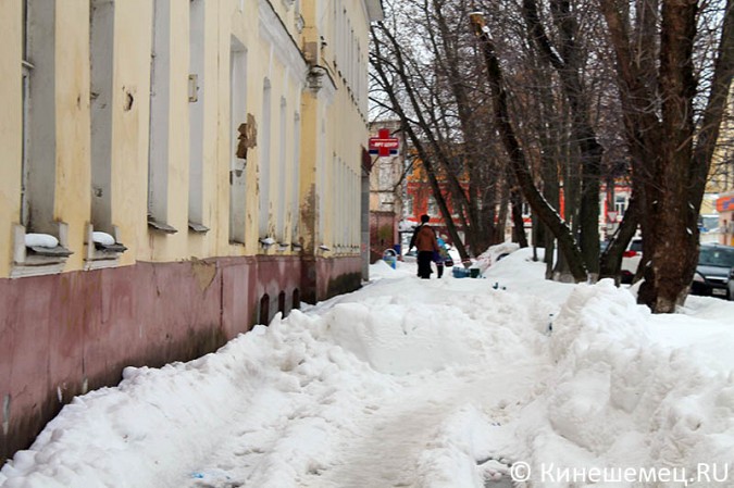 Деревья на улице Советской в Кинешме решили вырубить фото 10