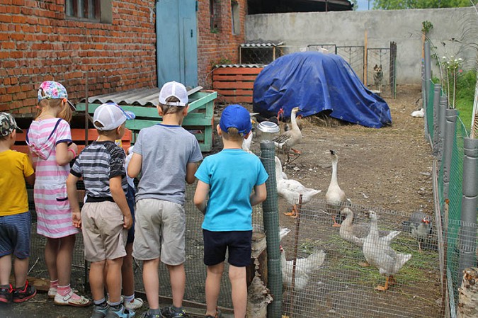 Кинешемские дети посетили домашний зоопарк фото 2