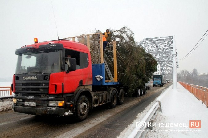 Доставлять главную новогоднюю елку УГХ Кинешмы пришлось в сложных условиях фото 7