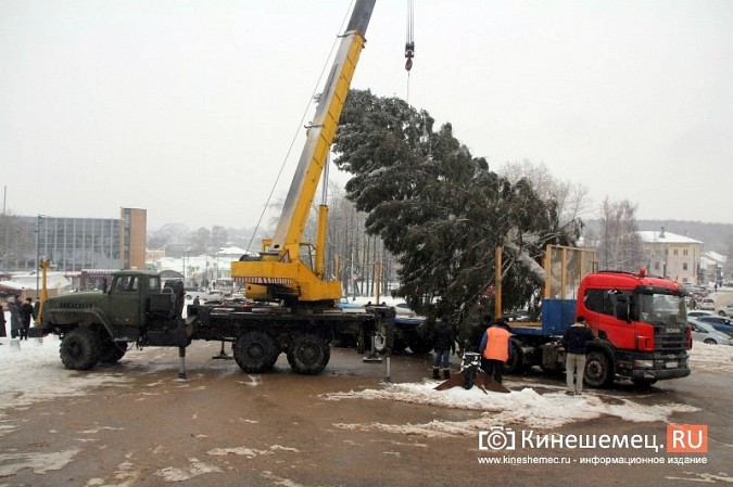 Доставлять главную новогоднюю елку УГХ Кинешмы пришлось в сложных условиях фото 12