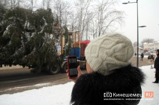 Доставлять главную новогоднюю елку УГХ Кинешмы пришлось в сложных условиях фото 10