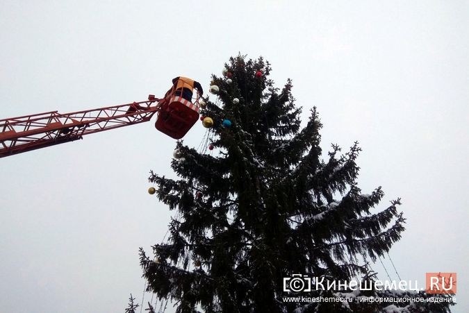 В Кинешме начали наряжать главную новогоднюю елку фото 5