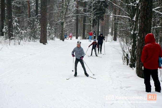 Кинешемские лыжники открыли сезон контрольной тренировкой в парке фото 18