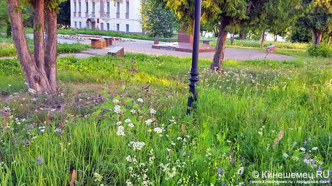 В Кинешме разрушается бюст Александру Островскому фото 6