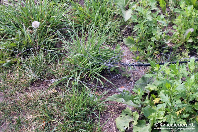 Оголённые провода легли на пути кинешемцев фото 4