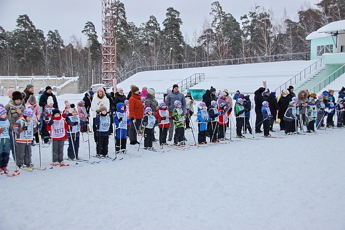 Более 500 жителей Кинешмы и района вышли на старт «Лыжни России» фото 11