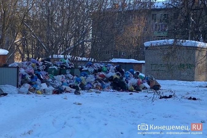 Из-за завалов снега Кинешма тонет в мусоре с контейнерных площадок фото 5