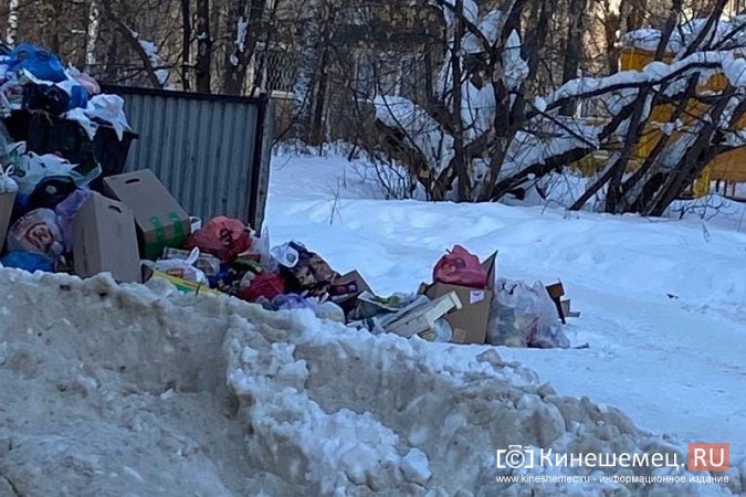 Из-за завалов снега Кинешма тонет в мусоре с контейнерных площадок фото 2