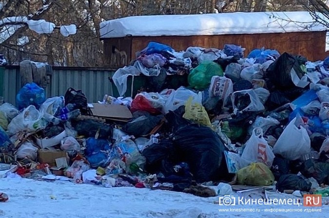 Из-за завалов снега Кинешма тонет в мусоре с контейнерных площадок фото 3