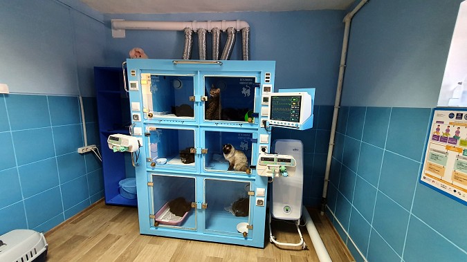 В Кинешме открывается современная ветеринарная клиника фото 7