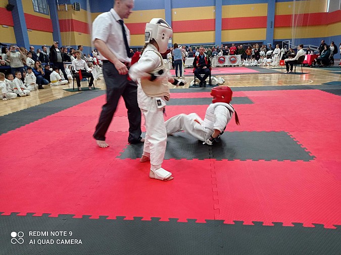 Каратисты Кинешмы завоевали награды Первенства Ярославской области фото 8