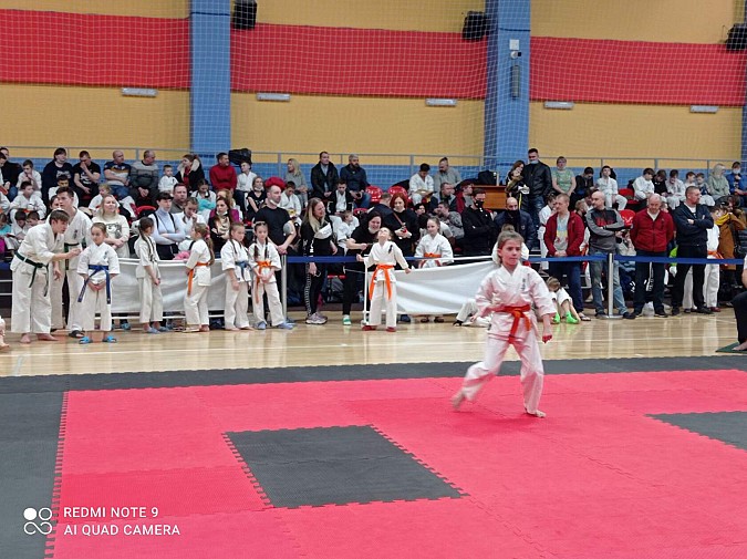 Каратисты Кинешмы завоевали награды Первенства Ярославской области фото 3