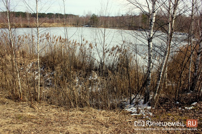 Когда на ДХЗ рекультивируют пруд с отходами производства уксусной кислоты? фото 4