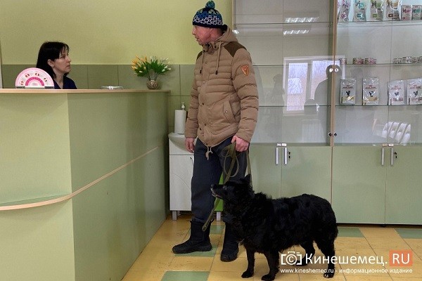 В Кинешме торжественно открылась ветеринарная клиника «Нюра и Той» фото 8