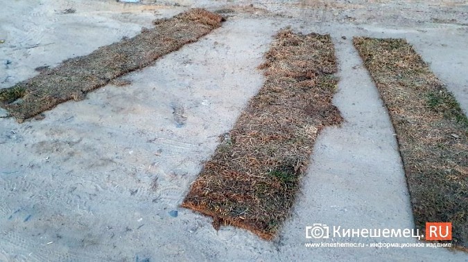 В Кинешме вандалы сдирают со склонов Волжского бульвара рулоны с газонной травой фото 5