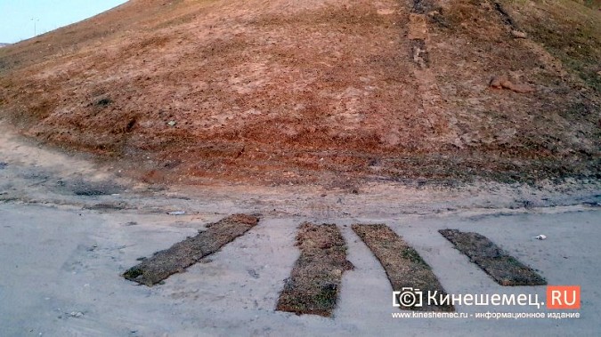 В Кинешме вандалы сдирают со склонов Волжского бульвара рулоны с газонной травой фото 4