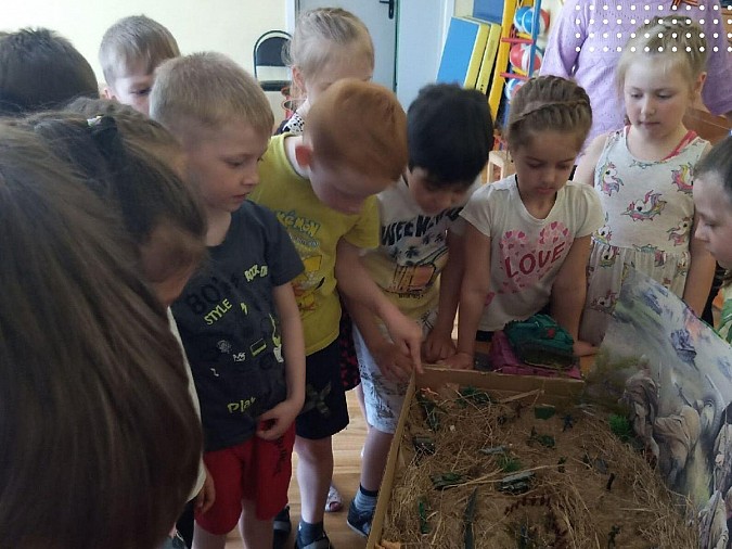 В кинешемском детском саду №31 открылась выставка «Эхо войны» фото 3