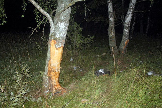 Два человека погибли в ДТП в Ивановской области фото 4