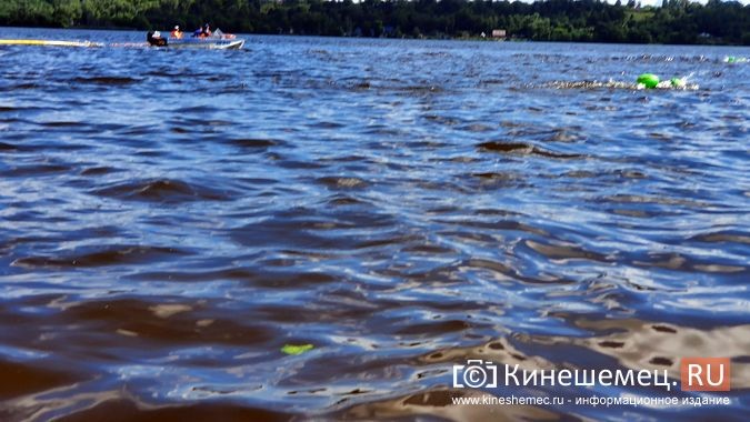 150 пловцов из России и Беларуси переплыли Волгу на этапе «Swimcup» в Кинешме фото 17