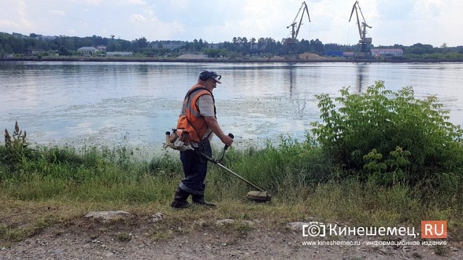 Триммером с лодки: Кинешемку освобождают от зарослей в преддверии Чемпионата России фото 12