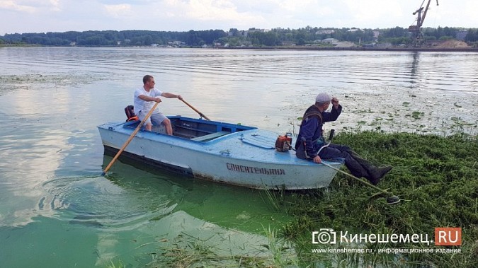 Триммером с лодки: Кинешемку освобождают от зарослей в преддверии Чемпионата России фото 7