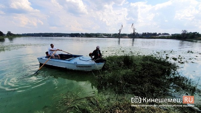 Триммером с лодки: Кинешемку освобождают от зарослей в преддверии Чемпионата России фото 6