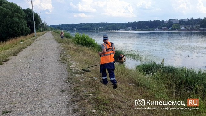 Триммером с лодки: Кинешемку освобождают от зарослей в преддверии Чемпионата России фото 11