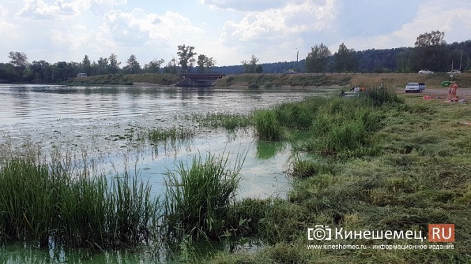 Триммером с лодки: Кинешемку освобождают от зарослей в преддверии Чемпионата России фото 8