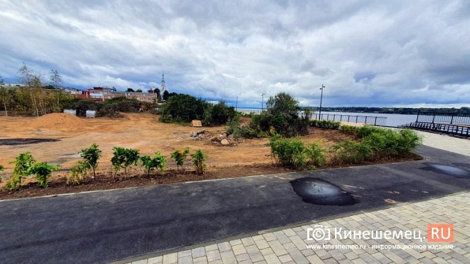 На стрелке у Никольского моста готова велодорожка, высажены зеленые насаждения фото 7