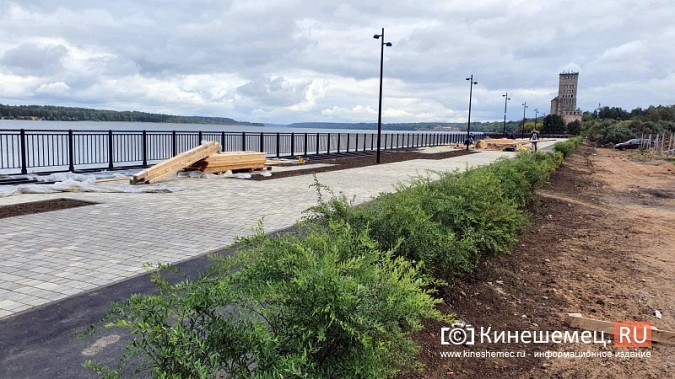 На стрелке у Никольского моста готова велодорожка, высажены зеленые насаждения фото 8