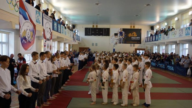 Кинешемские каратисты завоевали 24 медали фото 3