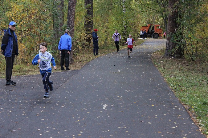 На старт «Кросса нации» в Кинешме вышли около тысячи спортсменов региона фото 13