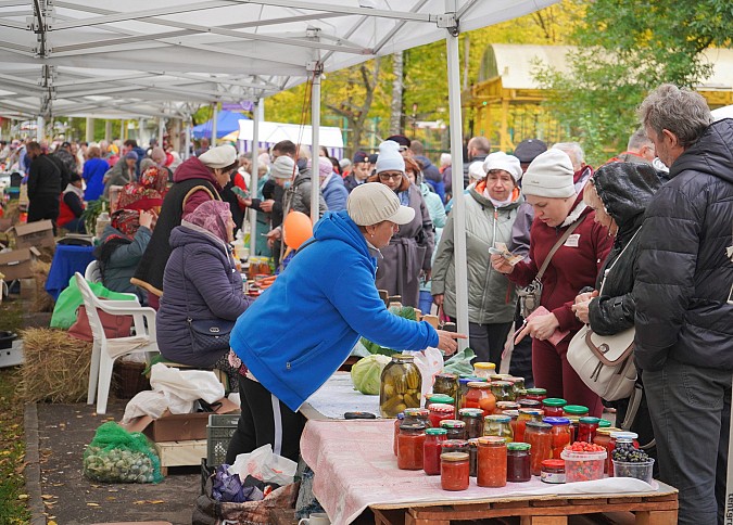 В Иванове прошёл региональный «День урожая» фото 6