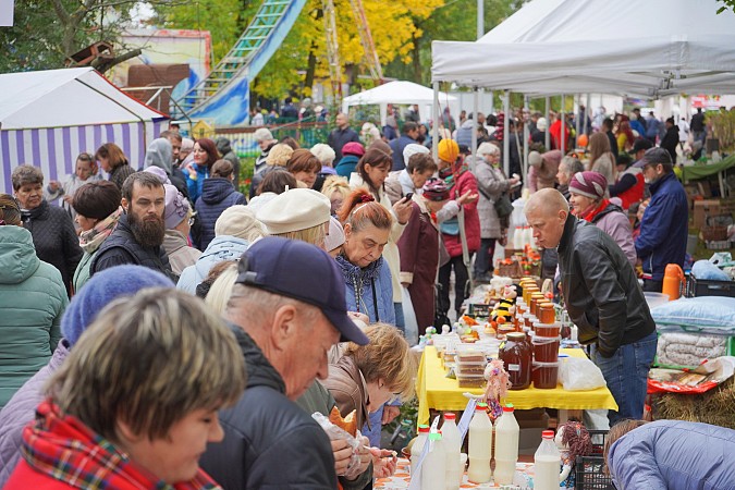 В Иванове прошёл региональный «День урожая» фото 8
