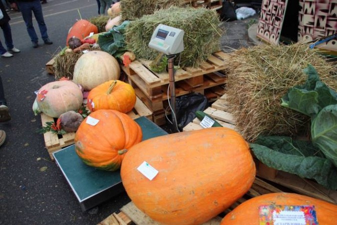 Кинешемцы приняли участие в общеобластной народной ярмарке «День урожая» фото 7