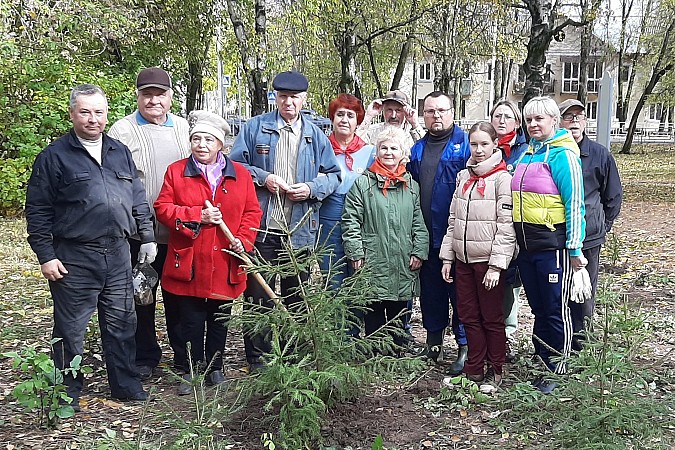 В сквере на пересечении ул.Правды – Менделеева высадили хвойную аллею фото 6