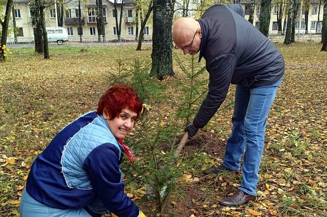 В сквере на пересечении ул.Правды – Менделеева высадили хвойную аллею фото 7