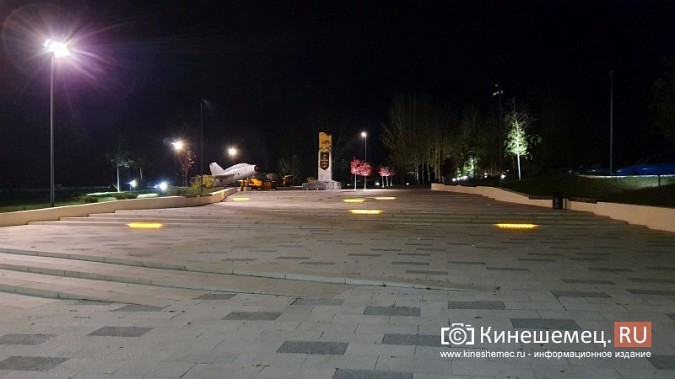 На входе в центральный парк Кинешмы начали погибать декоративные яблони фото 11