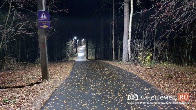 В центральном парке Кинешме восстановили освещение лыжероллерной трассы фото 3