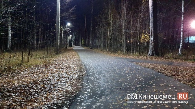 В центральном парке Кинешме восстановили освещение лыжероллерной трассы фото 4
